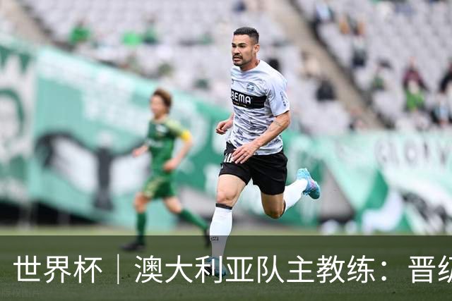 世界杯｜澳大利亚队主教练：晋级淘汰赛是我们应得的