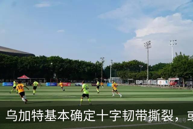 乌加特基本确定十字韧带撕裂，或迫使曼联买人！若伤缺一年可获赔500万
