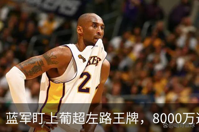 蓝军盯上葡超左路王牌，8000万违约金拦着，切尔西却已经敲门了